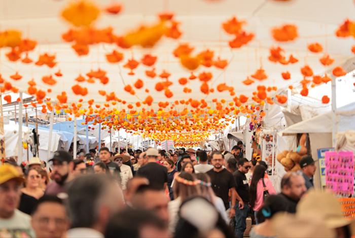 Vamos a seguir apoyando a Capula con todo lo que podamos: Alfonso Martínez Alcázar