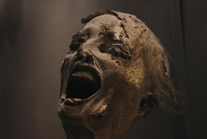 Vampiros y zombis como reflejo literario de las tensiones sociales actuales