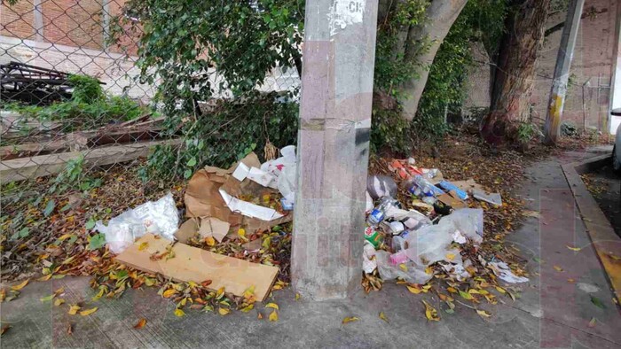 Vecinos denuncian invasión de plagas por cantidad de basura en la calle