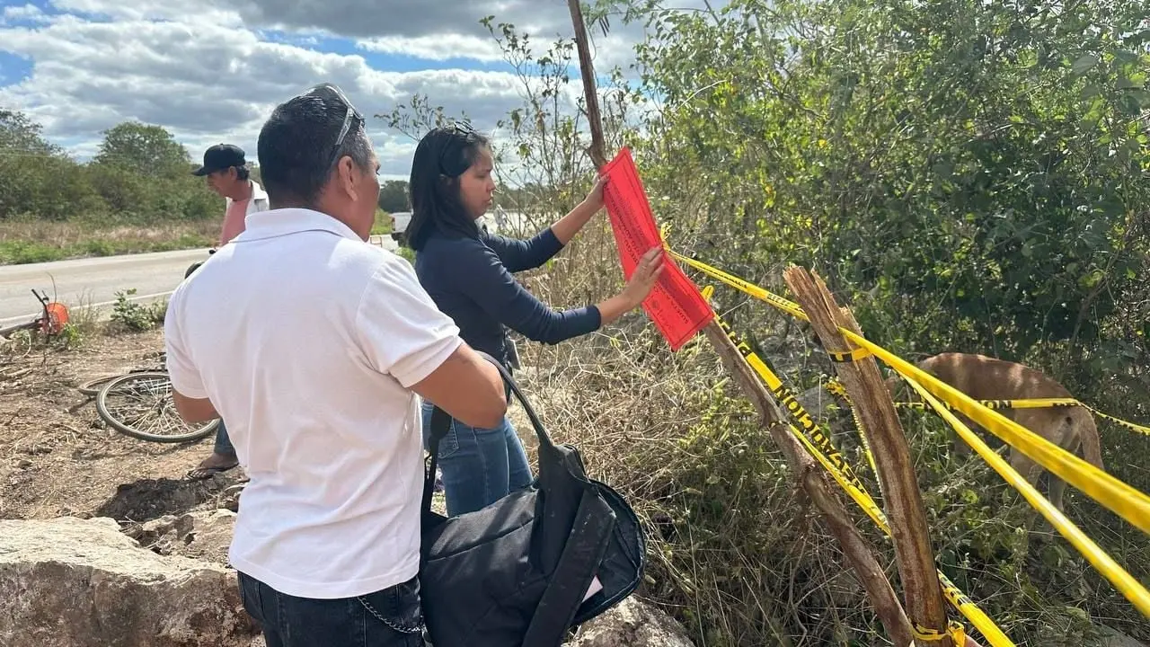 Vecinos detienen destrucción de cenotes y vestigios mayas de Yaxcopoil