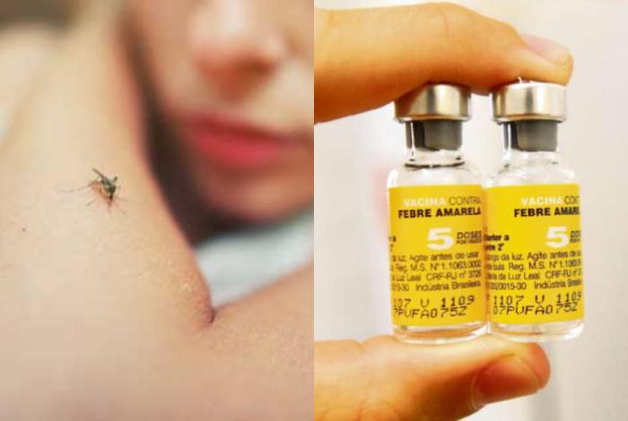 Venezuela exige vacunación para viajes a cuatro regiones por brote de fiebre amarilla