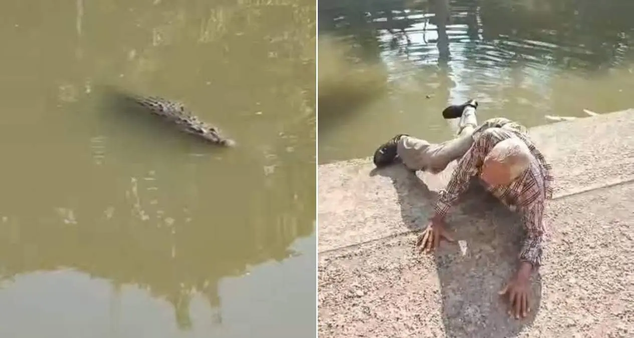 #Video: Adulto mayor es rescatado de ser atacado por un cocodrilo en Tampico