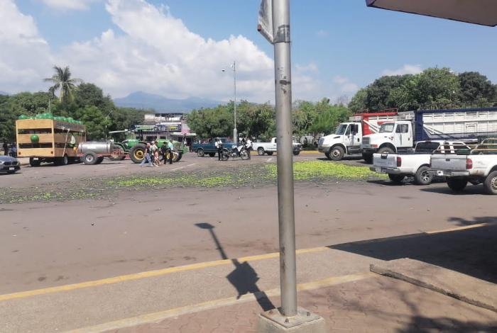 VIDEO | “Ahí ta pues si lo quieren regalado ahí está” limoneros tiran 2 toneladas de limon en protesta por el bajo costo del limón