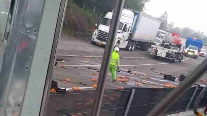 #VIDEO: Camión con pollos vuelca en la autopista Perote-Xalapa y se desata la rapiña