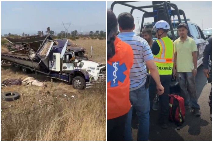 VIDEO | Camión de ganadería michoacana sufre volcadura; hay 10 lesionados y un toro sin vida