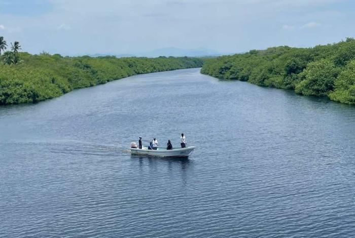 #Video | Concluye operativo de búsqueda, sin rastros del menor que cayó al hábitat de cocodrilos