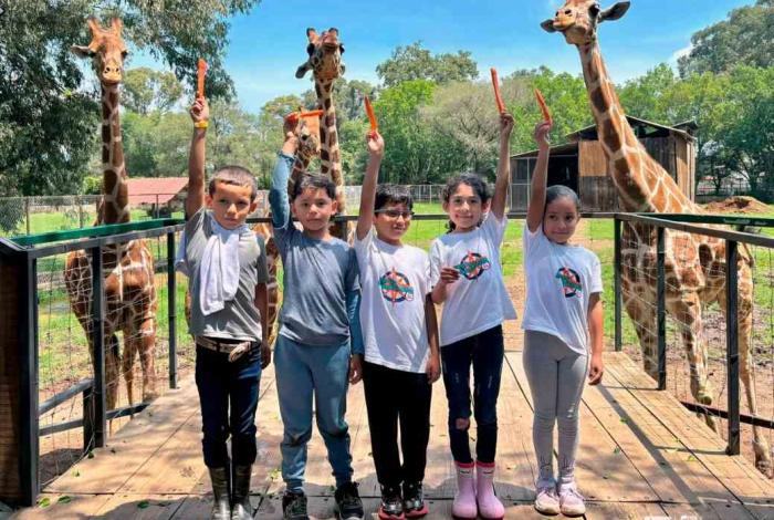 #Video | Disfruta un verano de aventura en el Zoológico de Morelia