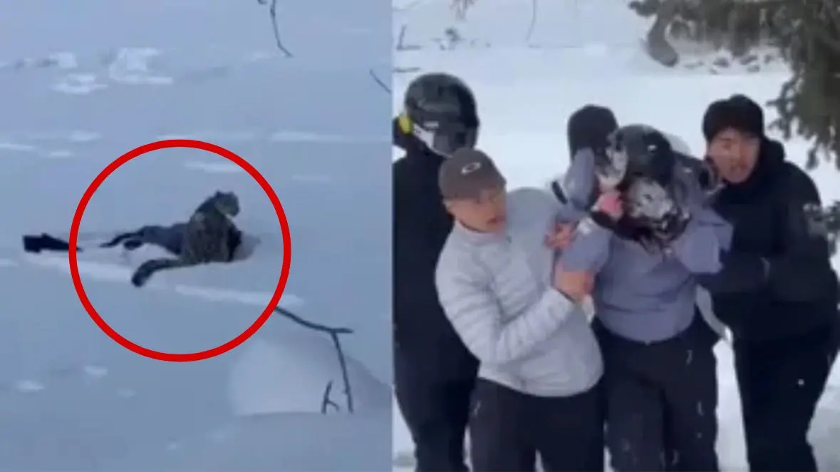 #VIDEO: Esquiadora es atacada por leopardo de las nives en China