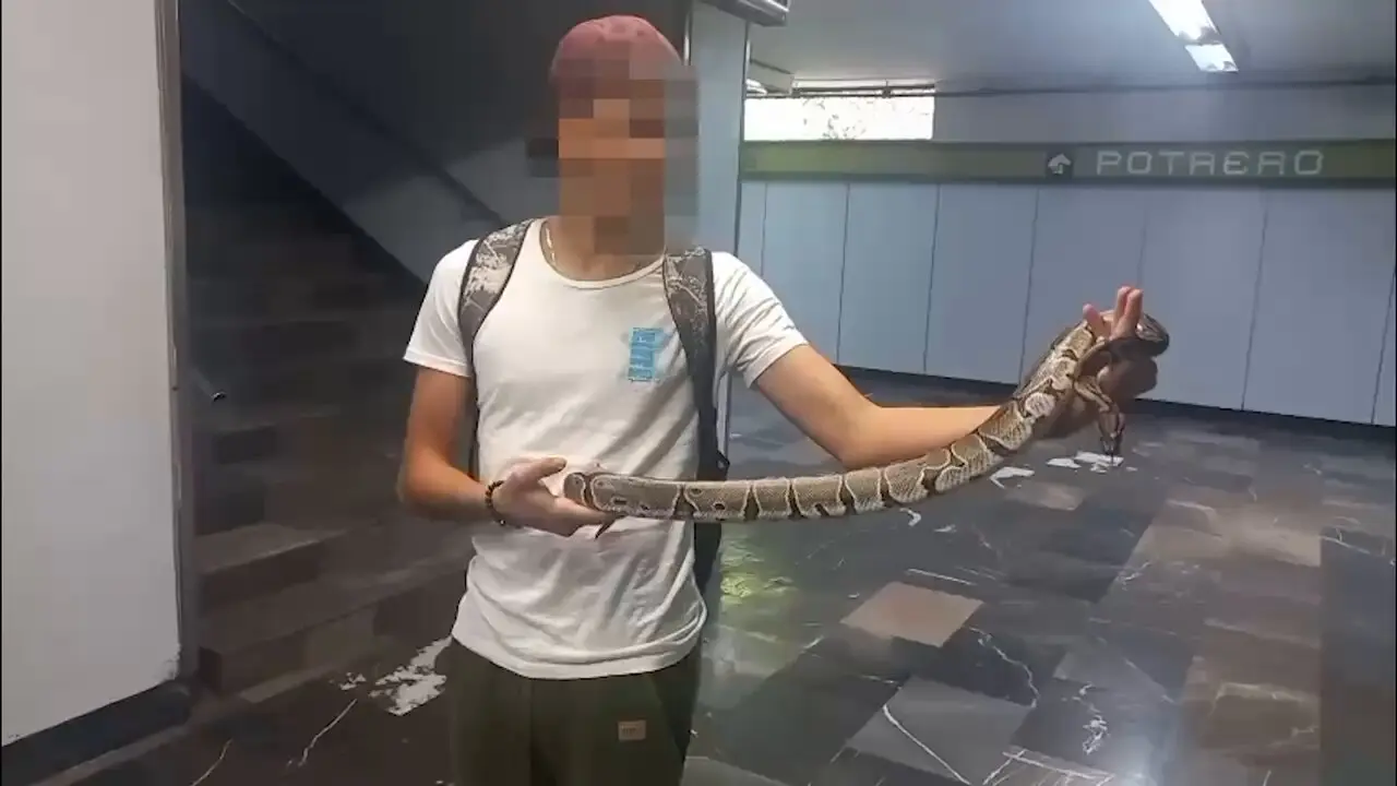 #Video: Joven mete serpiente al metro de la CDMX