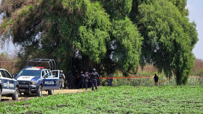 #Video | Localizan cadáver maniatado y putrefacto, en predios agrícolas de Zamora