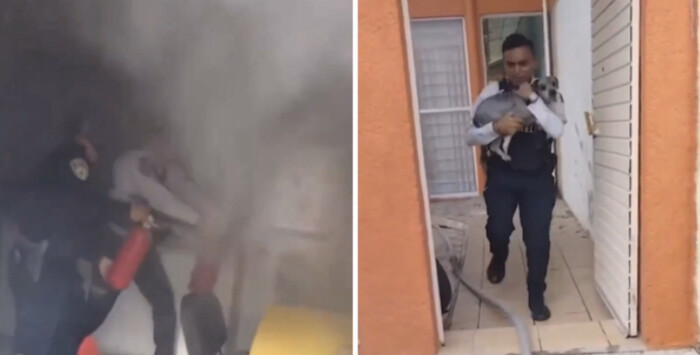 #Video | Policía Morelia rescata perrito tras atender emergencia en domicilio