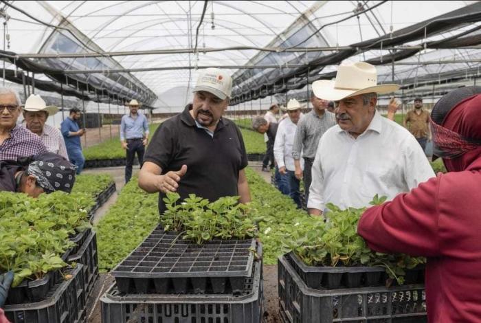 #Video | Raúl Morón, el aliado para potenciar el campo michoacano