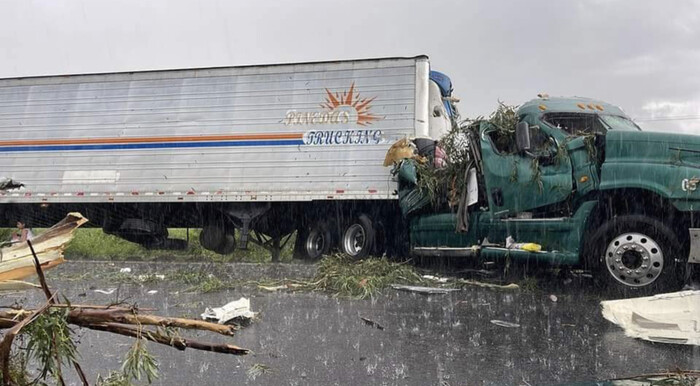 #Video | Árbol cae sobre tráiler en la Pátzcuaro-Morelia