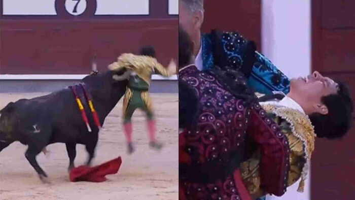 Video: Torero Isaac Fonseca recibe grave cornada 