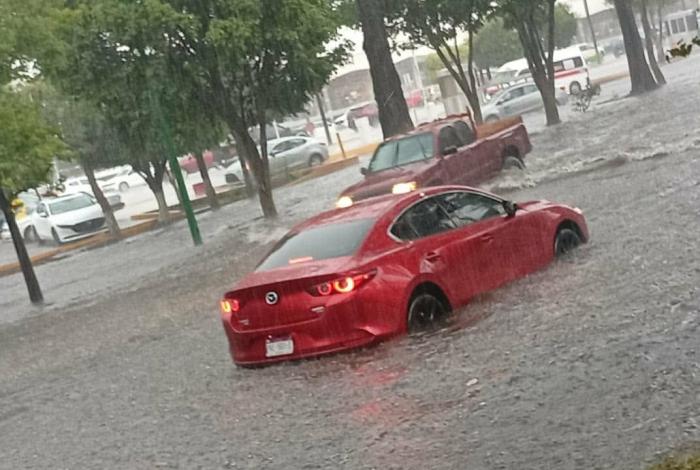 Morelia