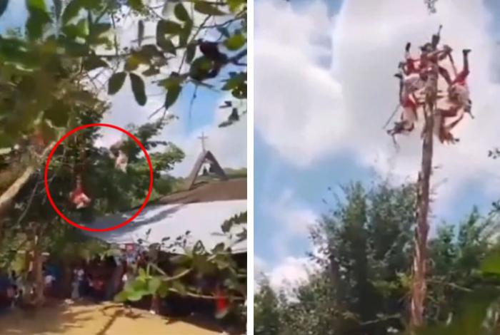 VIDEO | Voladores de Papantla caen desde 10 metros de altura tras romperse el madero durante ritual