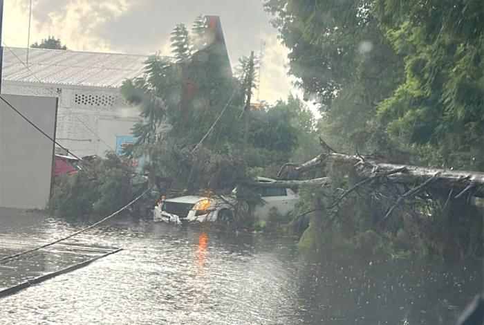 #Videos | Fuerte tromba derriba árboles y causa afectaciones en distintos puntos de Uruapan