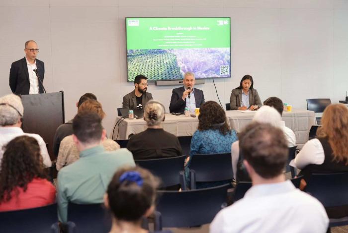 Walmart y Costco respaldan certificación contra la deforestación impulsada por Bedolla