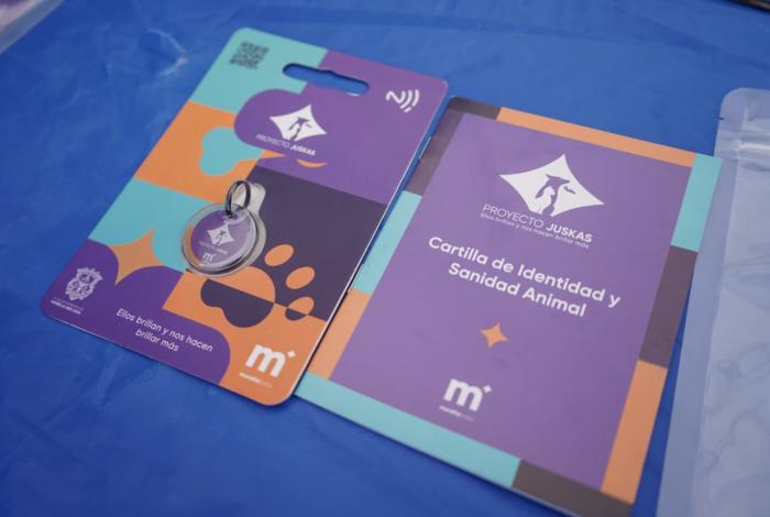 ¿Ya tienes tu placa NFC para mascotas? Están en el Festival del Centro Histórico en Morelia